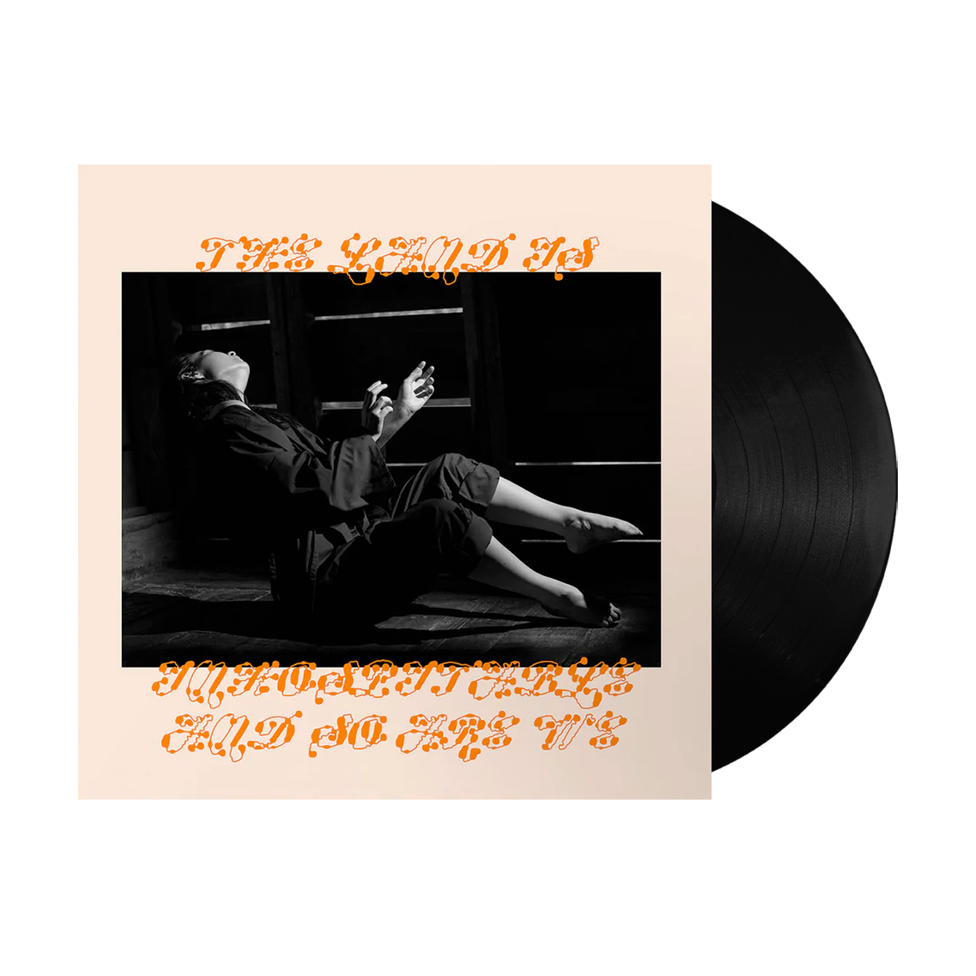 THE LAND IS INHOSPITABLE AND SO ARE WE VINYL